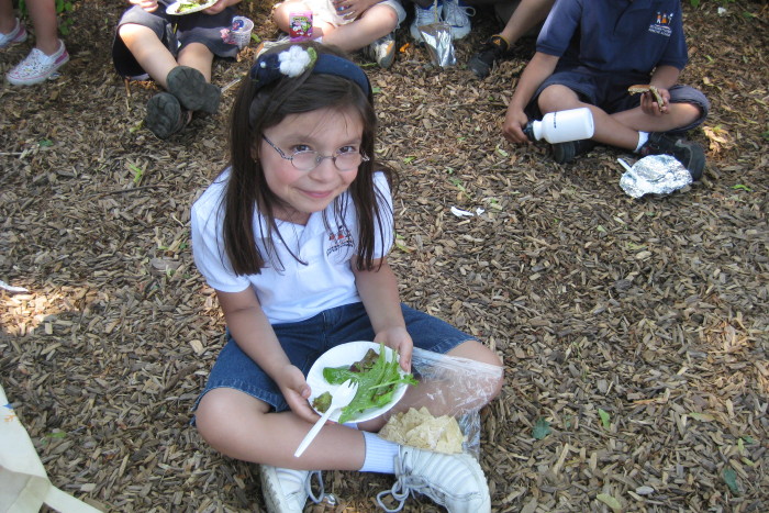 4. spring lettuce kids 2